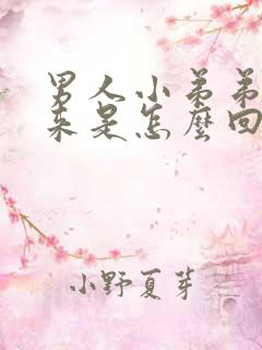 男人小弟弟不起来是怎么回事