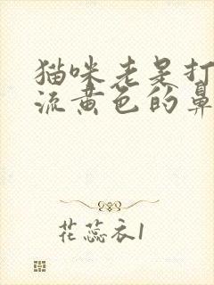 猫咪老是打喷嚏流黄色的鼻涕