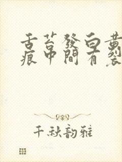 舌苔发白黄有齿痕中间有裂纹怎么回事