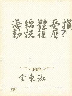 海绵体受损会自动恢复么?