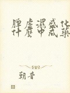 脾虚湿盛化热吃什么中成药