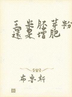 玉米胚芽粉减肥还是增肥