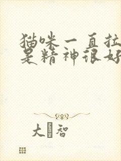 猫咪一直拉稀但是精神很好怎么办