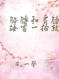 胳膊和肩膀的连接处一抬就疼还响