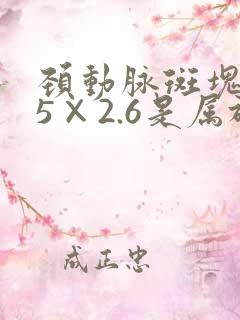 颈动脉斑块8.5×2.6是属于严重的吗