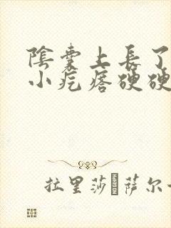 阴囊上长了一个小疙瘩硬硬的