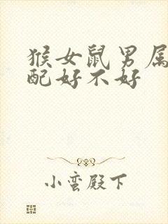 猴女鼠男属相婚配好不好