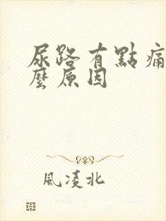 尿路有点痛是什么原因