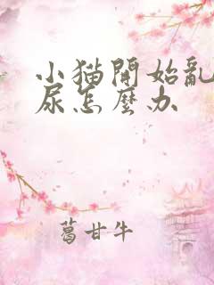 小猫开始乱拉乱尿怎么办