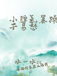 小脾气暴躁的孩子易怒