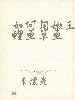 如何用嫩玉米钓鲤鱼草鱼