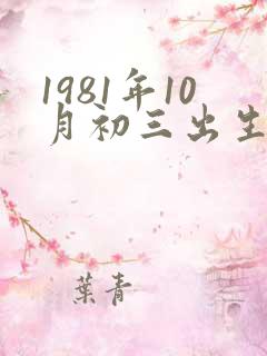 1981年10月初三出生的属鸡的命运
