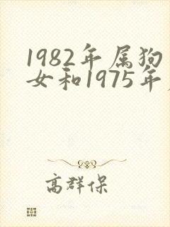1982年属狗女和1975年属兔男婚姻