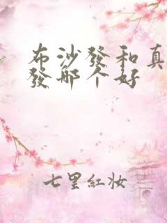 布沙发和真皮沙发哪个好