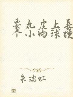 睾丸皮上长了一个小肉球硬硬的