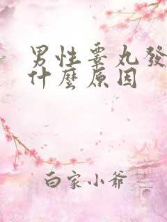 男性睾丸发硬是什么原因