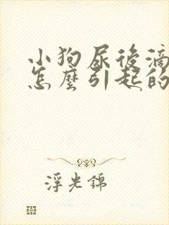 小狗尿后滴血是怎么引起的