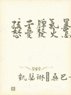 孩子脾气暴躁易怒爱发火怎么办