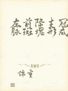 左前降支冠状动脉斑块形成治疗