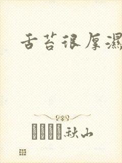 舌苔很厚湿气重