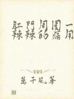 肛门周围一圈火辣辣的痛用什么药