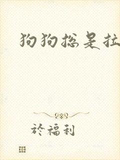 狗狗总是拉软便