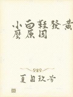 小白鞋发黄是什么原因