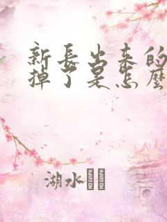 新长出来的头发掉了是怎么回事