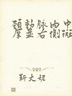 颈动脉内中膜增厚并右侧斑块形成