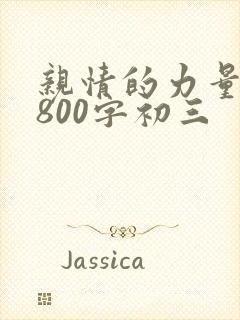 亲情的力量作文800字初三