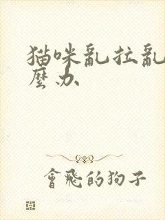 猫咪乱拉乱尿怎么办