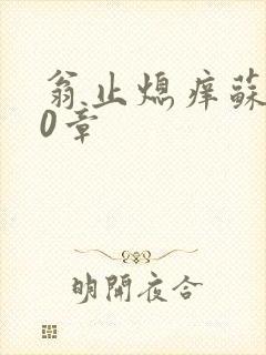 翁止熄痒苏钥10章