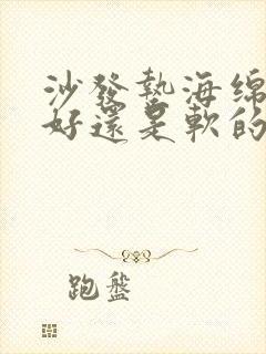 沙发垫海绵硬的好还是软的好