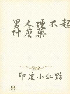 男人硬不起耒吃什么药