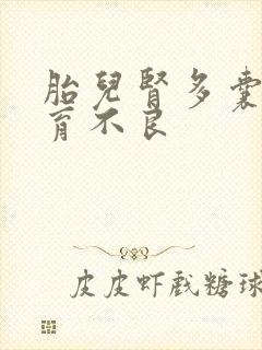 胎儿肾多囊性发育不良