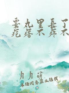 睾丸里长了个肉疙瘩不疼不痒