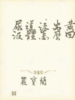 尿道流出黄色的液体怎么回事