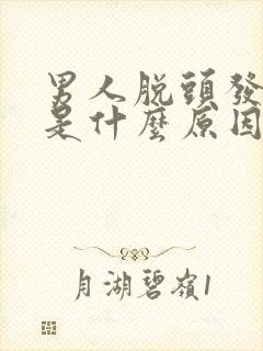 男人脱头发严重是什么原因引起的