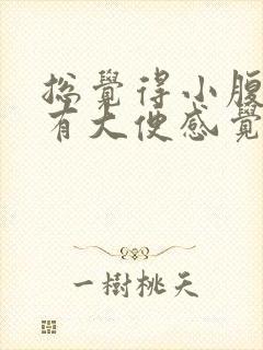 总觉得小腹坠胀有大便感觉