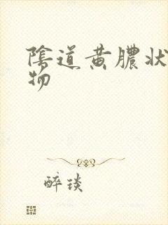 阴道黄脓状分泌物