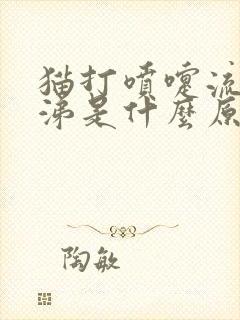 猫打喷嚏流黄鼻涕是什么原因