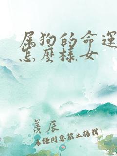 属狗的命运一生怎么样女