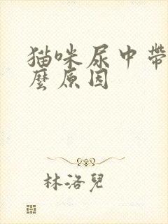 猫咪尿中带血什么原因