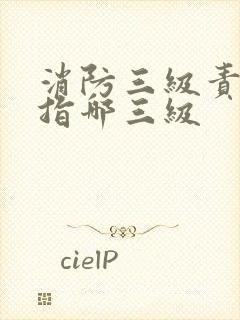 消防三级责任制指哪三级