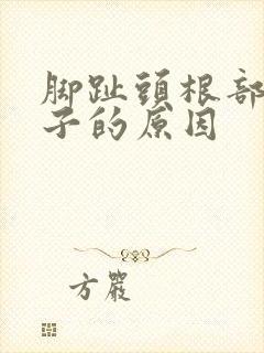 脚趾头根部裂口子的原因