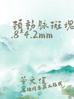 颈动脉斑块17.8*4.2mm