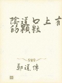 阴道口上有白色的颗粒