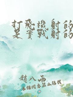 打飞机射的快还是实战射的快