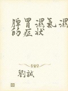 脾胃湿气湿热重的症状