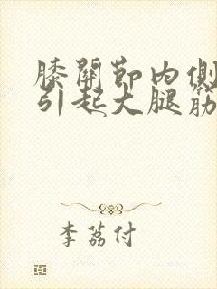 膝关节内侧疼痛引起大腿筋疼